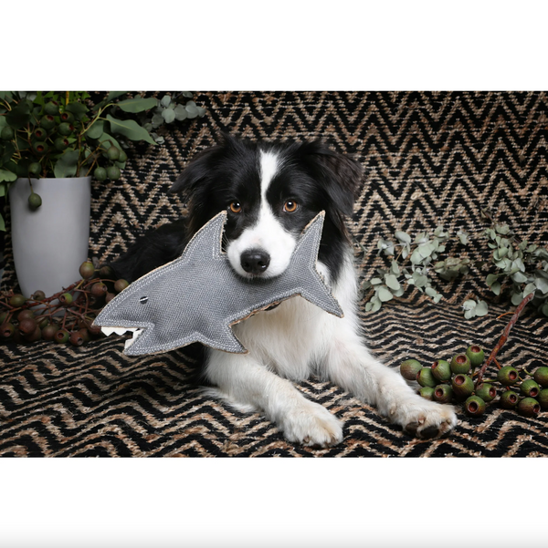 Outback Tails - Shazza Shark - Jute Toy, Premium Dog Toy (OTTOYSHARK)
