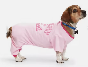 YOULY The Diva Pink Trouble Never Looked So Sweet Dog Pajamas