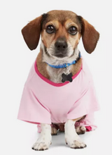YOULY The Diva Pink Trouble Never Looked So Sweet Dog Pajamas
