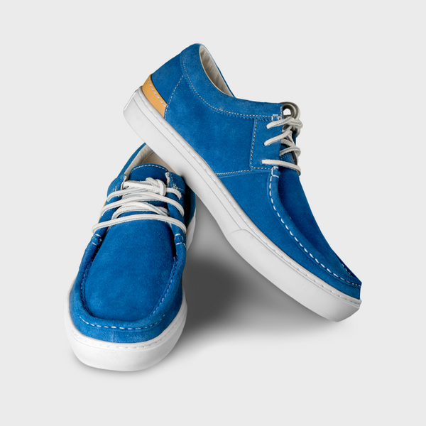 B. Pair of Blue Shoes